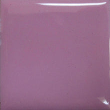 Load image into Gallery viewer, OPAQUE Thompson Enamels for Copper Gold and Silver, 2 oz