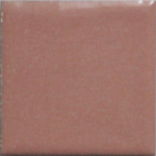 Load image into Gallery viewer, OPAQUE Thompson Enamels for Copper Gold and Silver, 2 oz