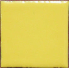 Load image into Gallery viewer, OPAQUE Thompson Enamels for Copper Gold and Silver, 2 oz