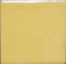 Load image into Gallery viewer, OPAQUE Thompson Enamels for Copper Gold and Silver, 2 oz