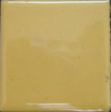 Load image into Gallery viewer, OPAQUE Thompson Enamels for Copper Gold and Silver, 2 oz