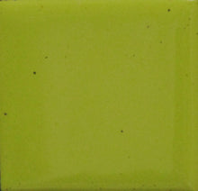 Load image into Gallery viewer, OPAQUE Thompson Enamels for Copper Gold and Silver, 2 oz