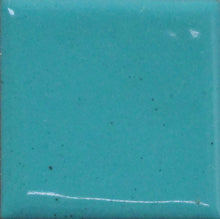 Load image into Gallery viewer, OPAQUE Thompson Enamels for Copper Gold and Silver, 2 oz