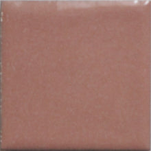 Load image into Gallery viewer, OPAQUE Thompson Enamels for Copper Gold and Silver, 8 oz