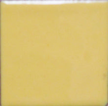 Load image into Gallery viewer, OPAQUE Thompson Enamels for Copper Gold and Silver, 2 oz