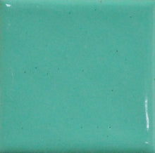 Load image into Gallery viewer, OPAQUE Thompson Enamels for Copper Gold and Silver, 8 oz