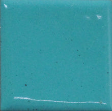 Load image into Gallery viewer, OPAQUE Thompson Enamels for Copper Gold and Silver, 8 oz